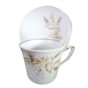 Winterling Coffee Cup Saucer Set Bavarian China Tea Schwarzenbach Wheat Germany